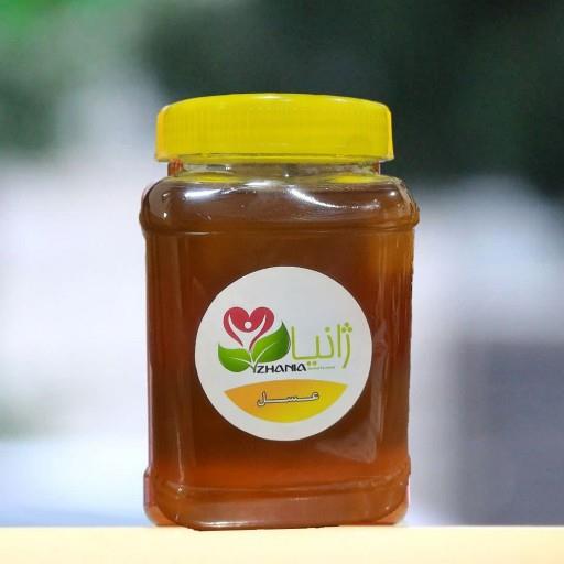 عسل کنار طبیعی و ارگانیک